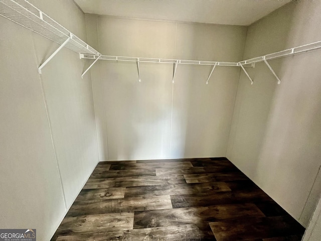 spacious closet featuring dark wood-type flooring