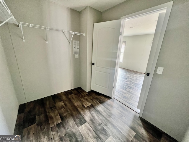 walk in closet with dark hardwood / wood-style flooring