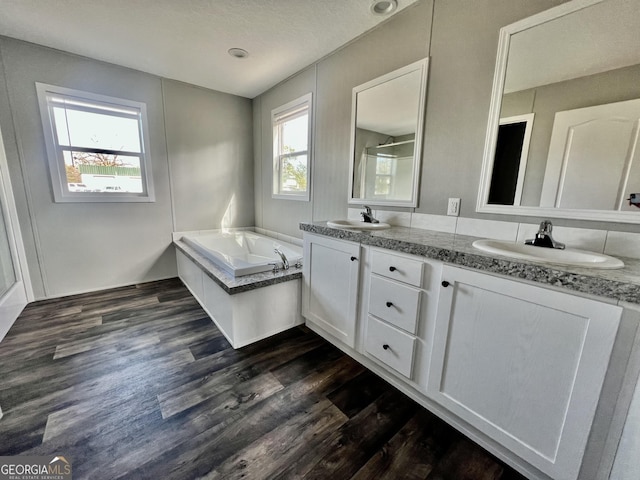 bathroom with plenty of natural light, wood-type flooring, a tub to relax in, and vanity