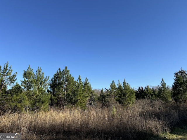 003 Sealy Rd, Gordon AL, 36343 land for sale