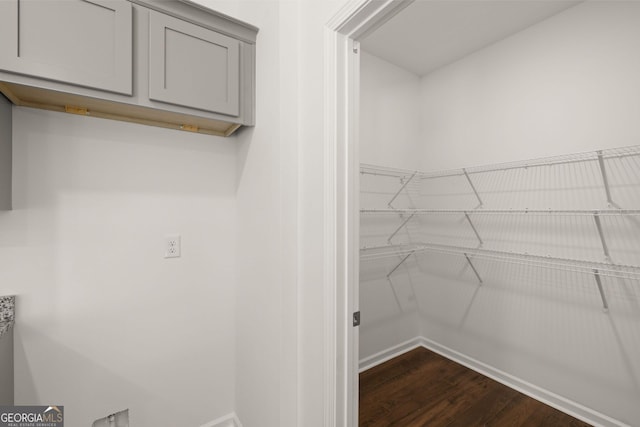 spacious closet featuring dark hardwood / wood-style flooring