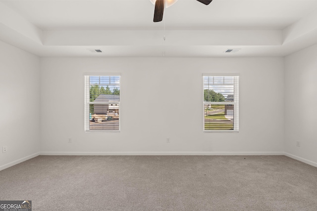 unfurnished room with carpet flooring, a raised ceiling, and a wealth of natural light