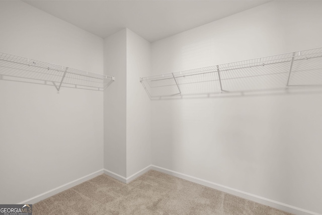 spacious closet featuring light colored carpet