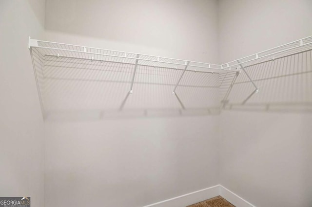spacious closet featuring carpet