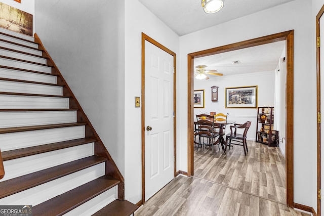 staircase with ceiling fan and hardwood / wood-style floors