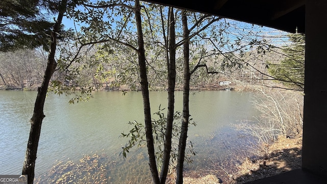 view of water feature