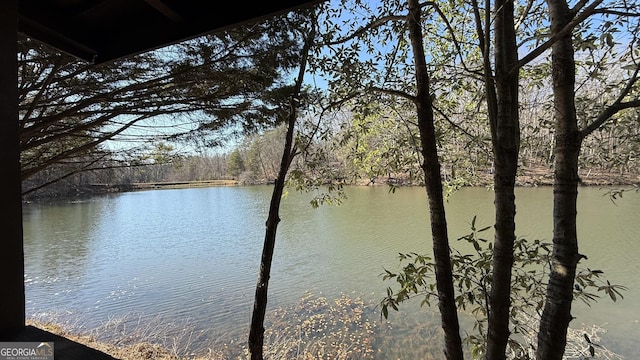 view of water feature