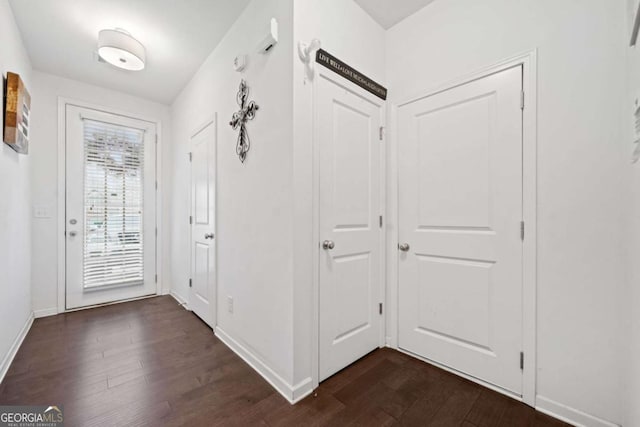 entryway with dark wood-type flooring