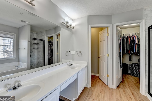 bathroom with a bath, a sink, a walk in closet, and a shower stall