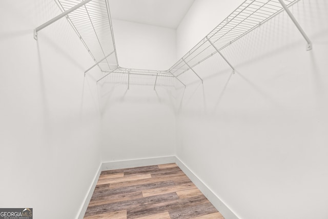 walk in closet featuring wood finished floors