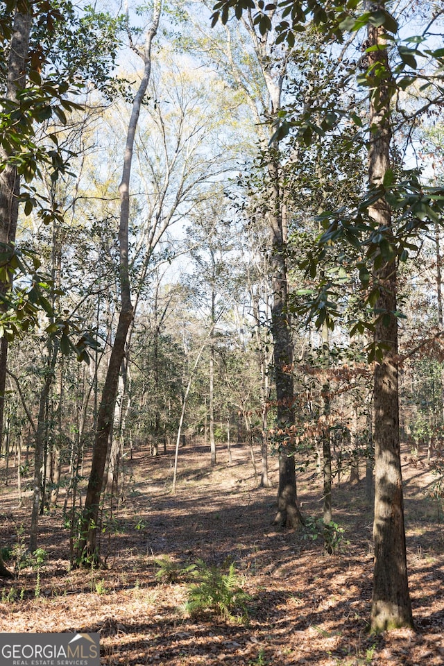 view of local wilderness