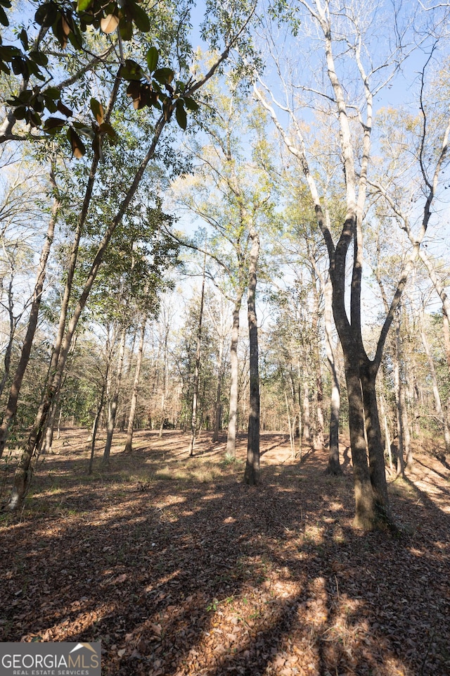 view of local wilderness