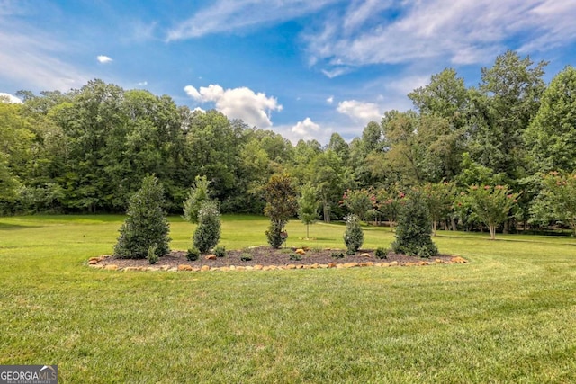 153 Falls Creek Dr, Hiawassee, GA 30546 - view of green lawn