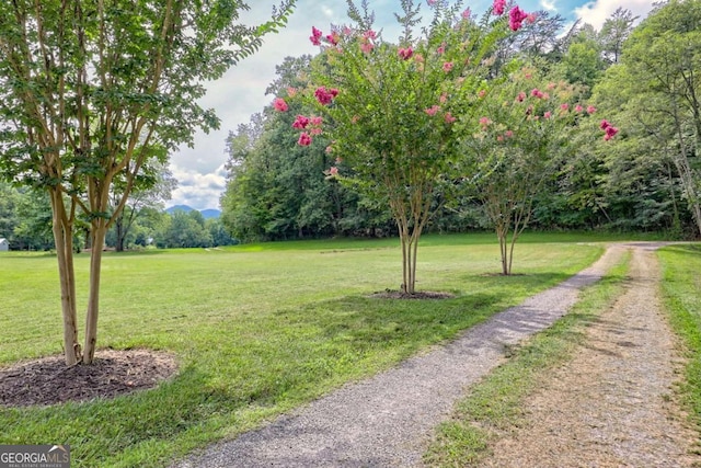153 Falls Creek Dr, Hiawassee, GA 30546 - view of green lawn