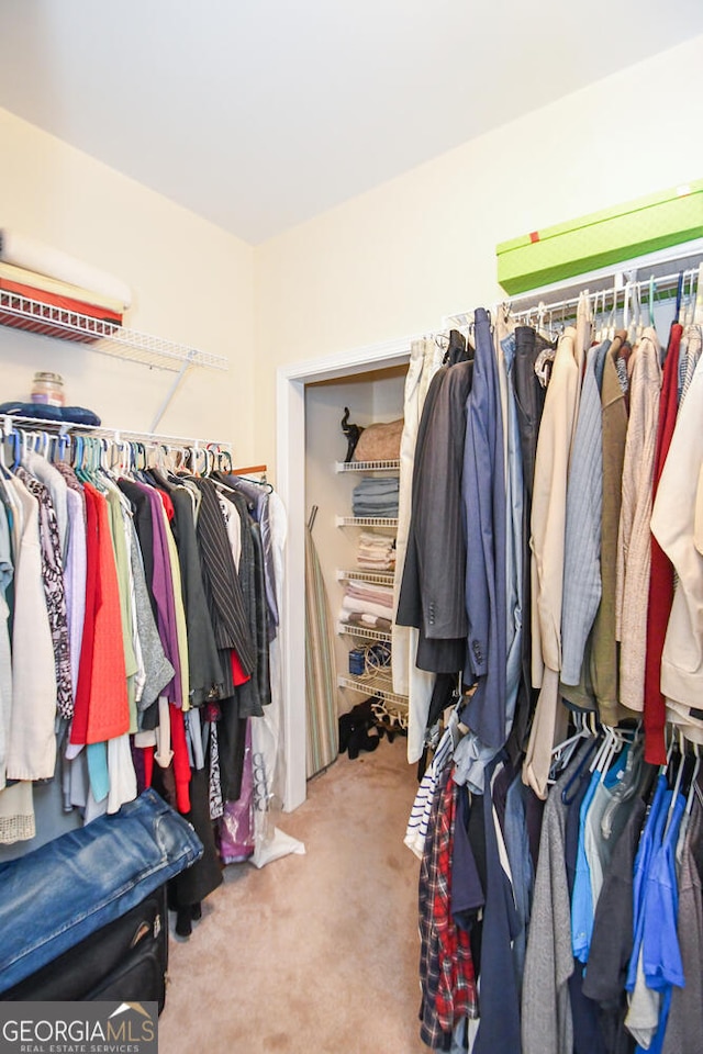 spacious closet with carpet floors