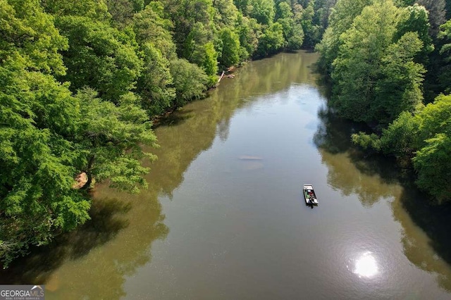 drone / aerial view with a water view and a wooded view