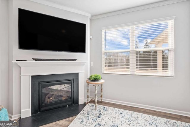 6713 Moondancer Ct, Flowery Branch, GA 30542 - detailed view of crown molding, a fireplace with flush hearth, and wood finished floors