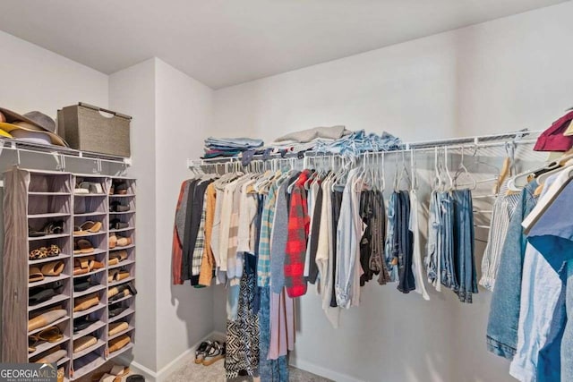 6713 Moondancer Ct, Flowery Branch, GA 30542 - walk in closet with carpet
