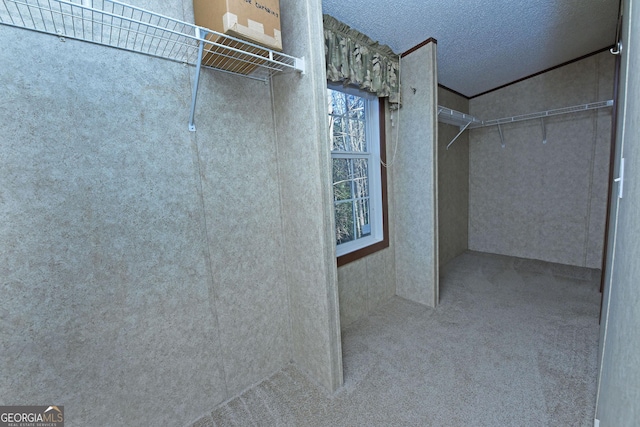 walk in closet with carpet