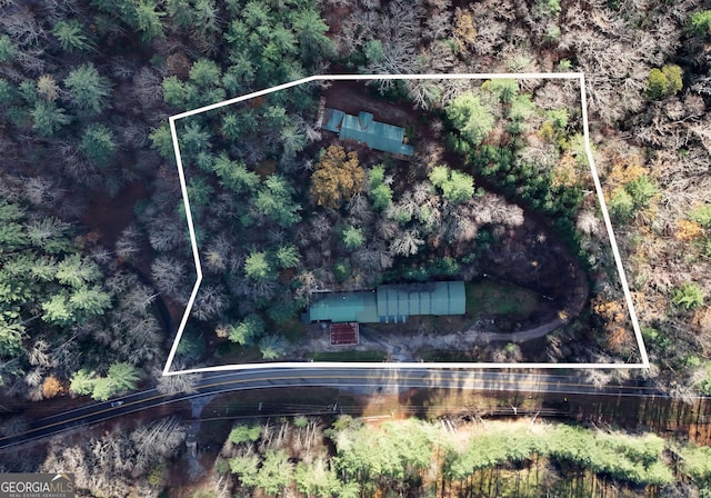 bird's eye view