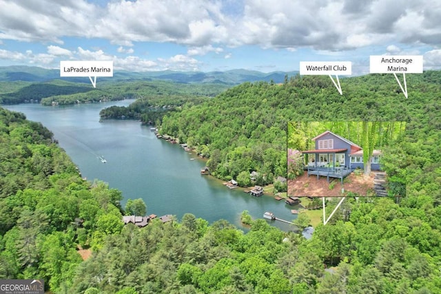 bird's eye view with a water view and a view of trees