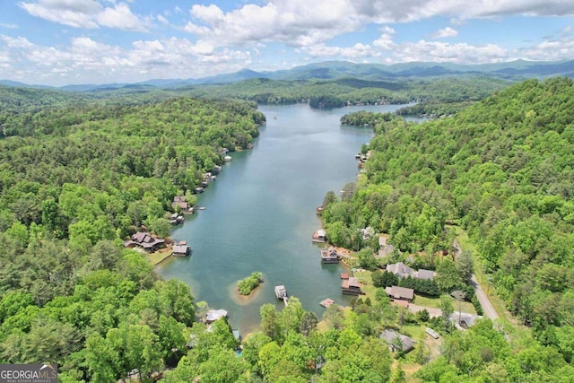 bird's eye view with a view of trees and a water and mountain view