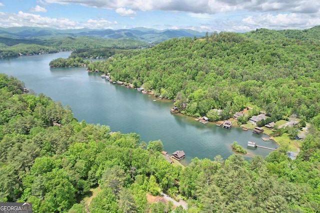 bird's eye view featuring a forest view and a water and mountain view