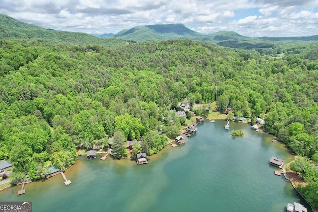 bird's eye view with a view of trees and a water and mountain view