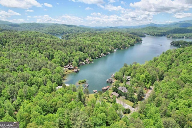 birds eye view of property featuring a view of trees and a water and mountain view