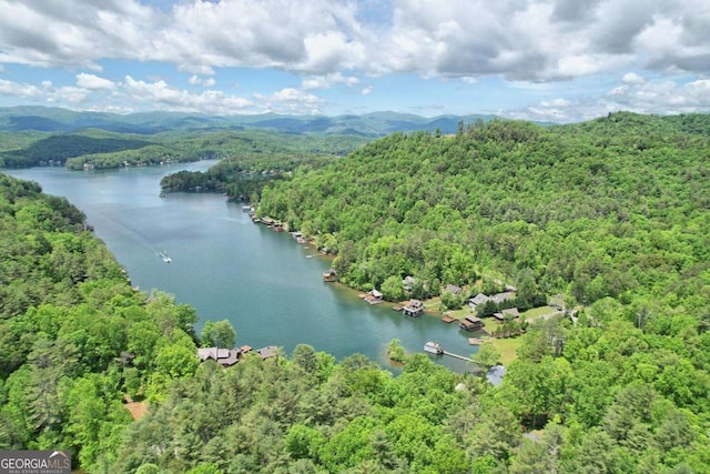 aerial view featuring a wooded view and a water and mountain view