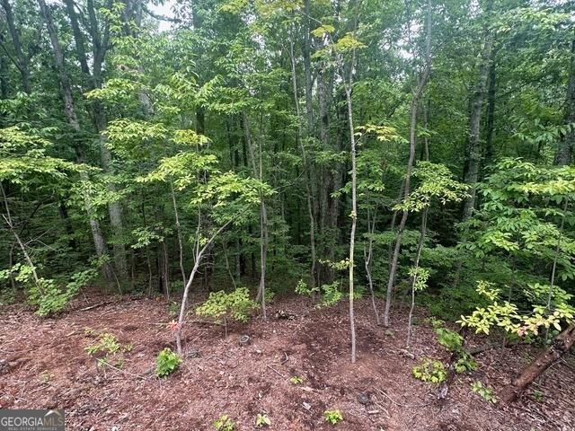 view of local wilderness with a view of trees