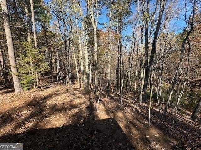 view of nature featuring a forest view