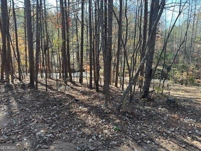 view of local wilderness with a forest view