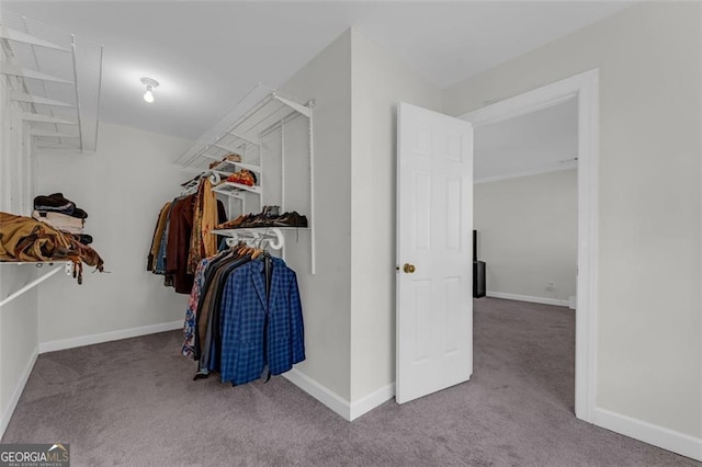 walk in closet featuring light carpet