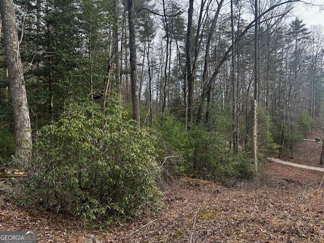 0 Corinth Church Rd, Cleveland GA, 30528 land for sale