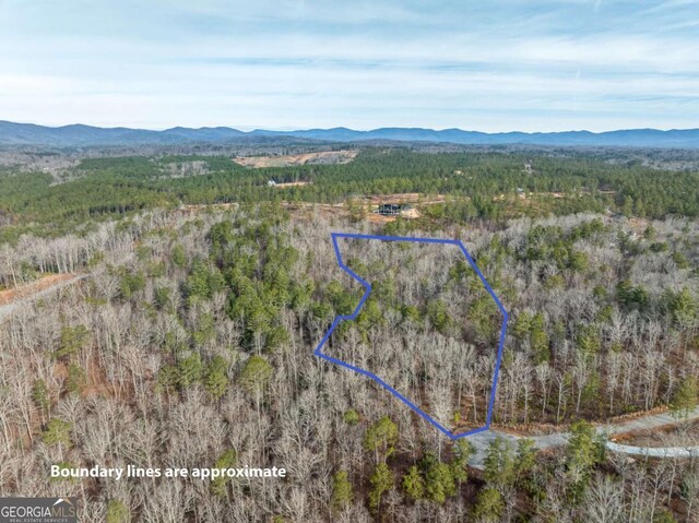 Listing photo 2 for LOT127 Red Hawk Ln, Ellijay GA 30540