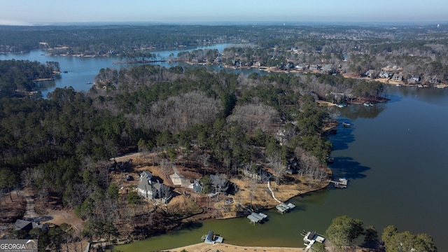 aerial view with a water view and a view of trees