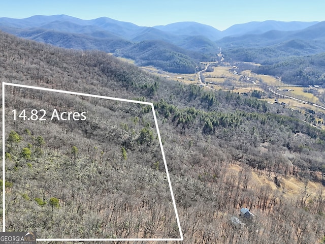 0 Walls Mtn, Hiawassee GA, 30546 land for sale