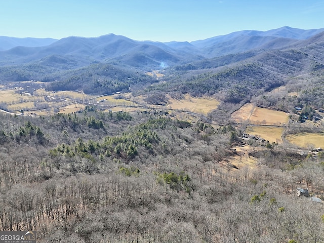 0 Walls Mtn, Hiawassee, GA 30546