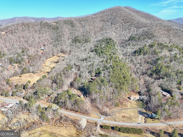 0 Walls Mtn, Hiawassee, GA 30546