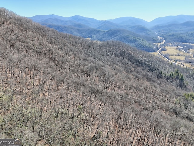 0 Walls Mtn, Hiawassee, GA 30546