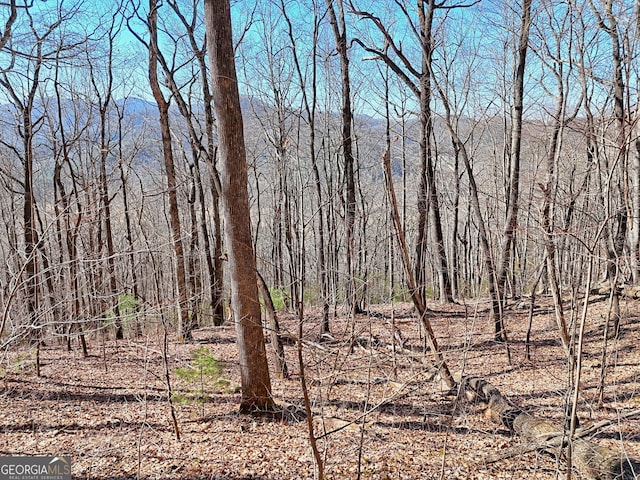 0 Walls Mtn, Hiawassee, GA 30546