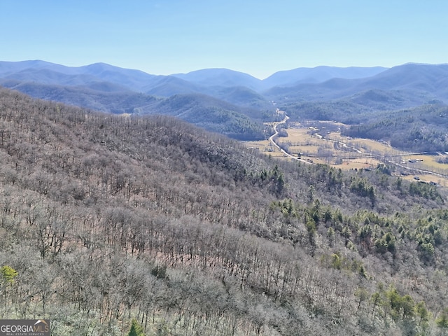 0 Walls Mtn, Hiawassee, GA 30546