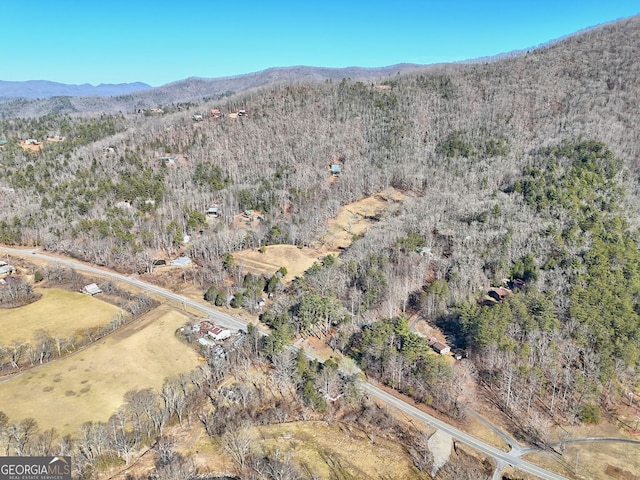 0 Walls Mtn, Hiawassee, GA 30546