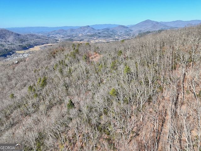 0 Walls Mtn, Hiawassee, GA 30546