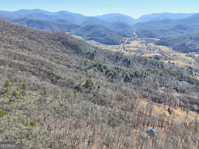 0 Walls Mtn, Hiawassee, GA 30546