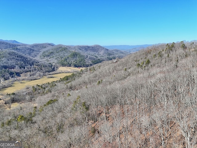 0 Walls Mtn, Hiawassee, GA 30546