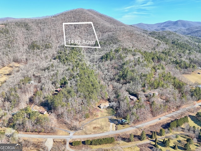 0 Walls Mtn, Hiawassee, GA 30546