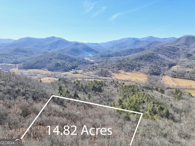 0 Walls Mtn, Hiawassee, GA 30546