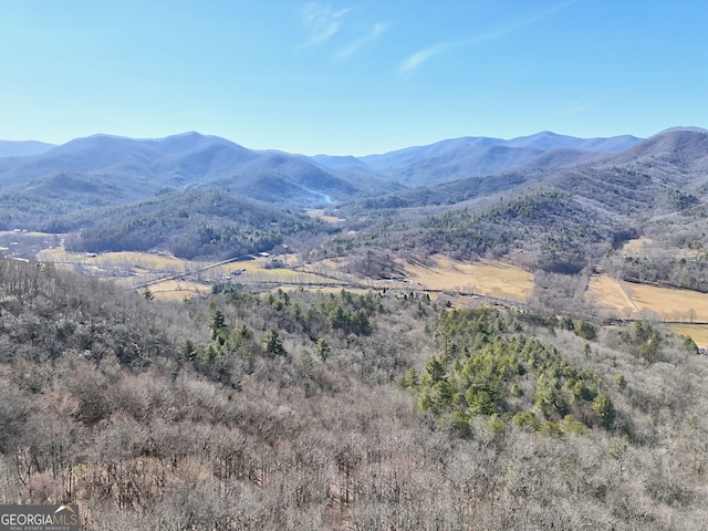 0 Walls Mtn, Hiawassee, GA 30546